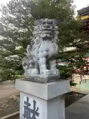 中野氷川神社の狛犬