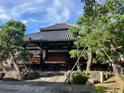 本隆寺（本妙興隆寺）(京都府)