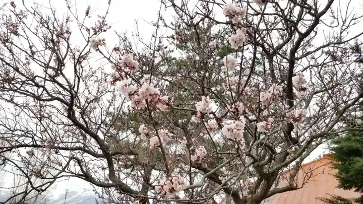 帰厚院(北海道)