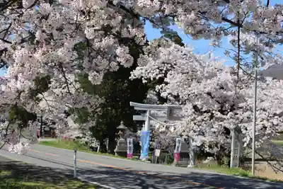 高司神社〜むすびの神の鎮まる社〜の鳥居