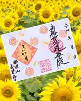 ◆直書き(見開き)
奉納料:500円