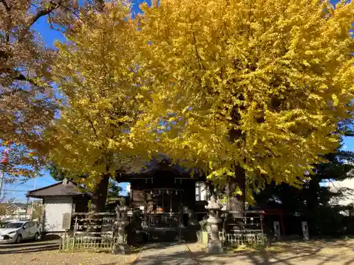 八幡橋八幡神社(神奈川県)