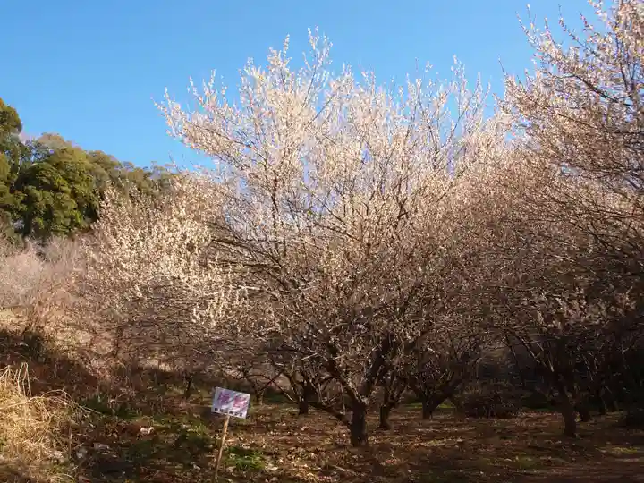 壽命院 永徳寺(栃木県)