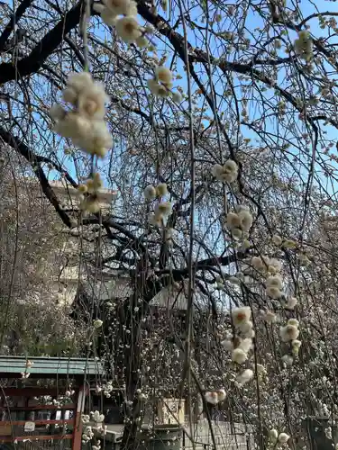 川口神社(埼玉県)