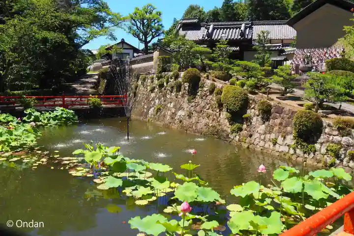 長弓寺(奈良県)