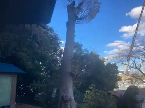 田谷御霊社(神奈川県)