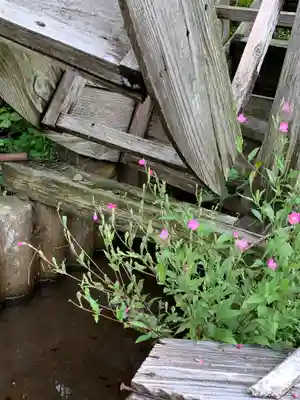 八百比丘尼堂の自然