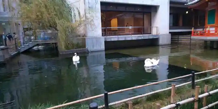 頂法寺(六角堂)のその他建物