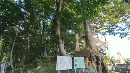 富士山東口本宮 冨士浅間神社(静岡県)