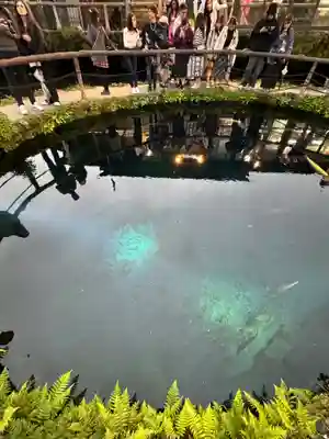 淺間神社（忍野八海）(山梨県)