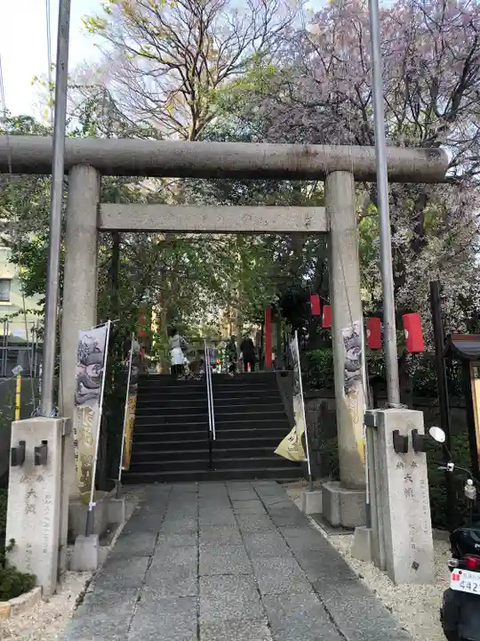 田無神社の鳥居