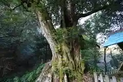 峯寺の建物その他