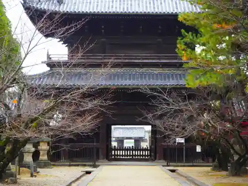 大樹寺（松安院大樹寺）の山門