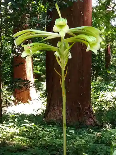 田村神社(滋賀県)