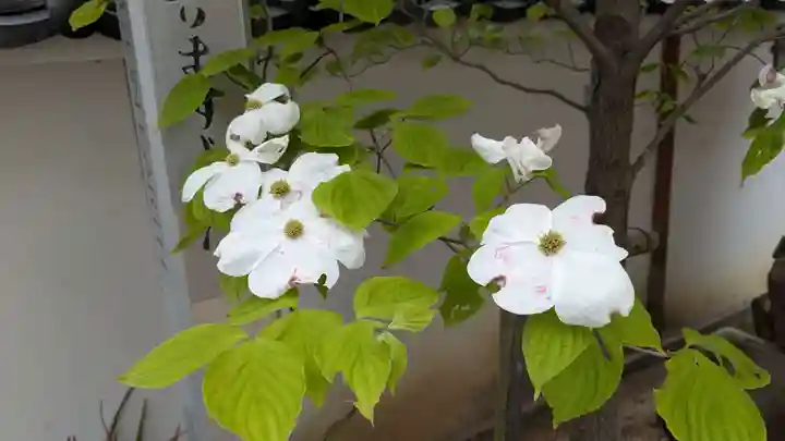 西光寺(香川県)