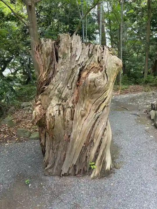 龍尾神社(静岡県)