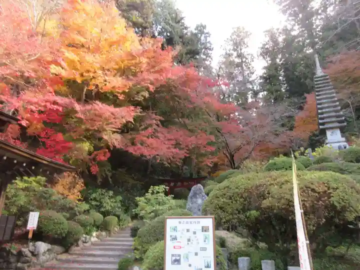 岡寺(龍蓋寺)(奈良県)
