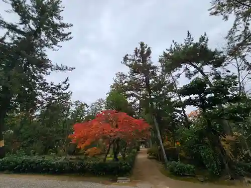 唐招提寺(奈良県)
