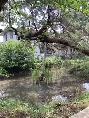 鶴嶺八幡宮(神奈川県)