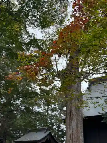 淺間神社（忍野八海）(山梨県)