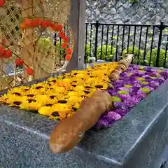 金蛇水神社の手水