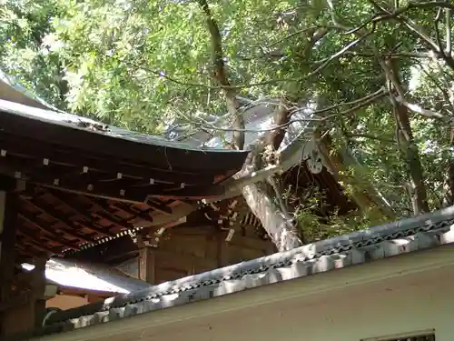 保久良神社の建物その他