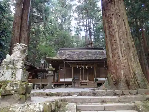 室生龍穴神社の狛犬