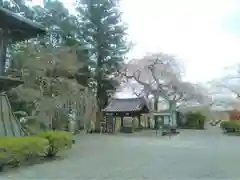 大公寺の建物その他