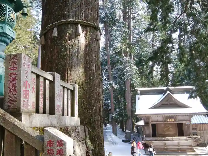 三峯神社(埼玉県)
