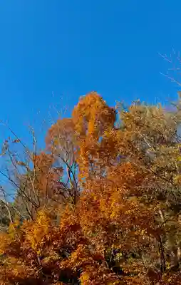 蚊里田八幡宮(長野県)