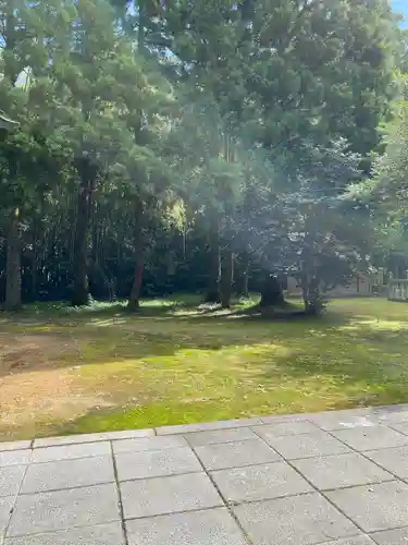 倭文神社の自然