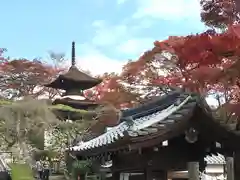 善峯寺(京都府)