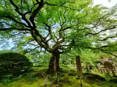 西善寺(埼玉県)