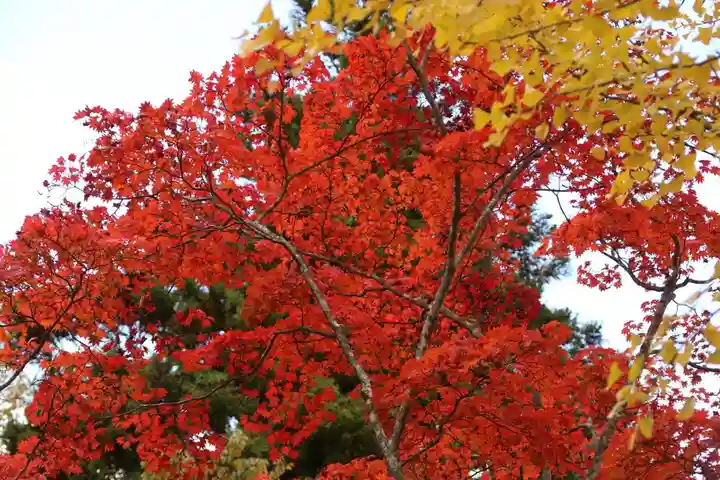 山津見神社の自然