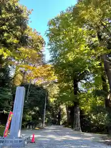 国上寺(新潟県)(2025年11月12日(水) 17時28分25秒投稿)