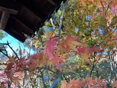 龍潭寺(滋賀県)