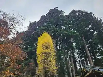日光山輪王寺 大猷院(栃木県)