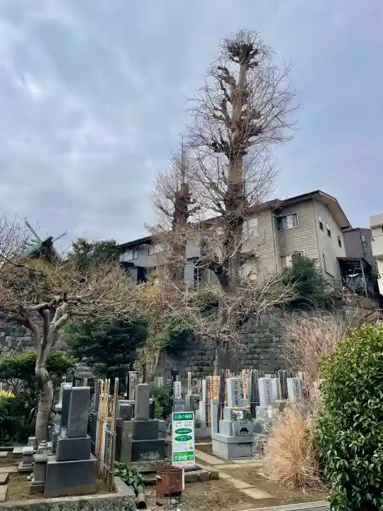妙行寺の{uncategorized: "未分類", other: "その他", undefined: "問題あり", building: "その他建物", grave: "お墓", sacred_gate: "鳥居", guardian: "狛犬", statue: "像", buddha: "仏像", history: "歴史", nature: "自然", garden: "庭園", animal: "動物", pagoda: "塔", temizu: "手水舎", mountain_gate: "山門・神門", sanctuary: "本殿・本堂", subordinate: "末社・摂社", art: "芸術", scenery: "景色", jizo: "地蔵", ema: "絵馬", goshuin: "御朱印", omikuji: "おみくじ", items: "授与品その他", amulet: "お守り", goshuincho: "御朱印帳", eats: "食事", festival: "お祭り", votive_dance: "神楽", shichigosan: "七五三参", wedding: "結婚式", experience: "体験その他", initially: "初詣", around: "周辺", anti_infection: "感染症対策"}