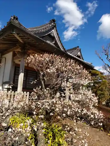 金剛寺の庭園