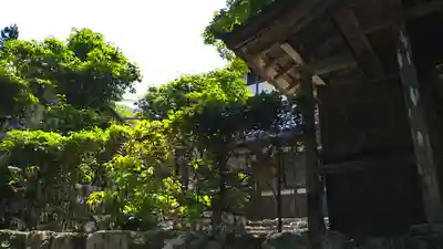 蓮成院(京都府)