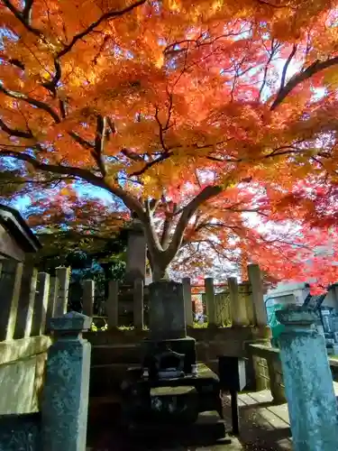 阿弥陀寺(福島県)