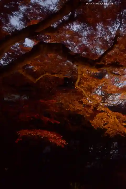 長谷寺(神奈川県)