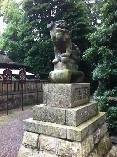 御上神社の狛犬