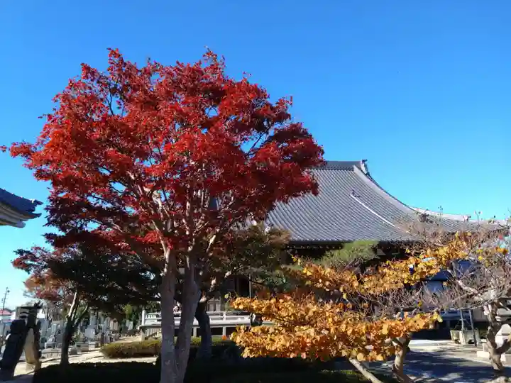 正法寺(愛知県)