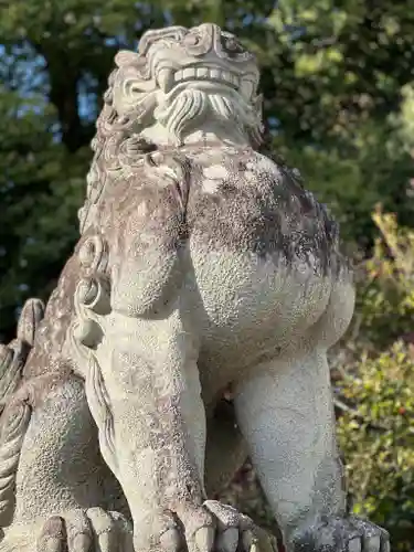 武田神社の狛犬