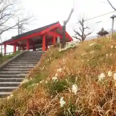 秋葉神社の建物その他