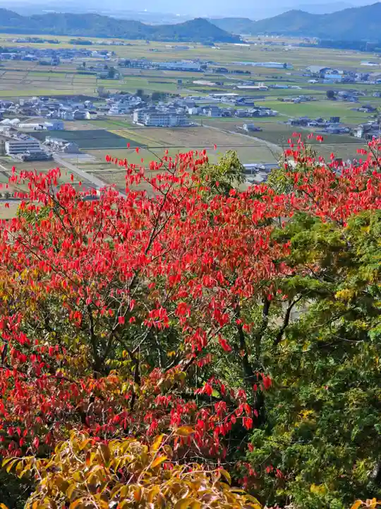 阿賀神社(滋賀県)