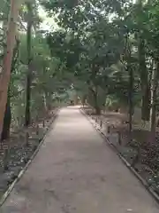 河合神社（鴨川合坐小社宅神社）の自然