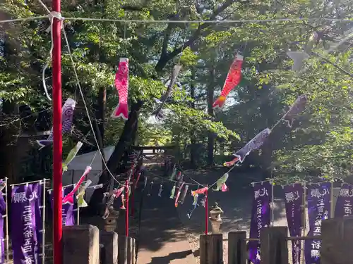 下野 星宮神社の御朱印