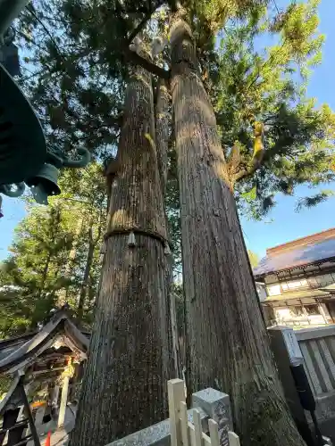 三峯神社の{uncategorized: "未分類", other: "その他", undefined: "問題あり", building: "その他建物", grave: "お墓", sacred_gate: "鳥居", guardian: "狛犬", statue: "像", buddha: "仏像", history: "歴史", nature: "自然", garden: "庭園", animal: "動物", pagoda: "塔", temizu: "手水舎", mountain_gate: "山門・神門", sanctuary: "本殿・本堂", subordinate: "末社・摂社", art: "芸術", scenery: "景色", jizo: "地蔵", ema: "絵馬", goshuin: "御朱印", omikuji: "おみくじ", items: "授与品その他", amulet: "お守り", goshuincho: "御朱印帳", eats: "食事", festival: "お祭り", votive_dance: "神楽", shichigosan: "七五三参", wedding: "結婚式", experience: "体験その他", initially: "初詣", around: "周辺", anti_infection: "感染症対策"}